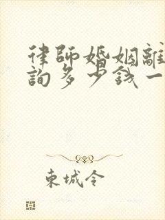 律师婚姻离婚咨询多少钱一次费用封面