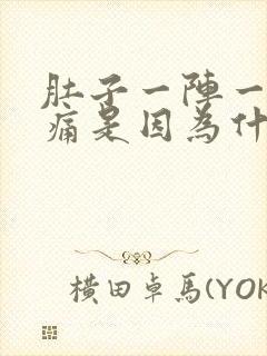 肚子一阵一阵绞痛是因为什么封面