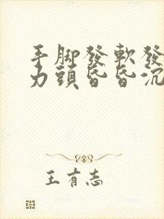 手脚发软发麻无力头昏昏沉沉封面