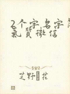 2个字名字简单气质微信
