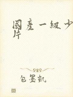 国产一级少妇淫片