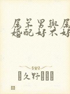 属羊男与属牛女婚配好不好封面