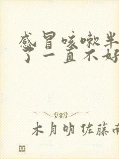 感冒咳嗽半个月了一直不好是什么原因封面