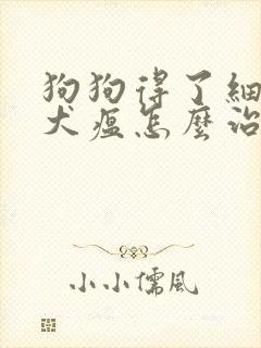 狗狗得了细小和犬瘟怎么治疗
