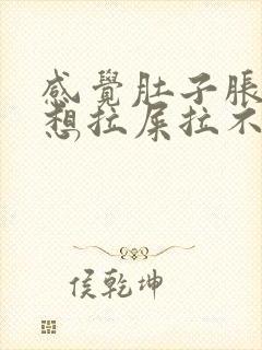 感觉肚子胀胀的想拉屎拉不出来封面