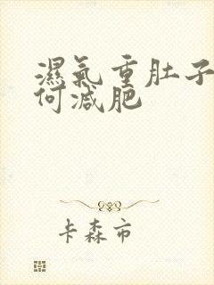 湿气重肚子大如何减肥