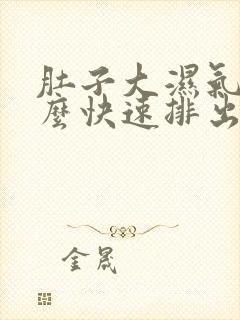 肚子大湿气重怎么快速排出