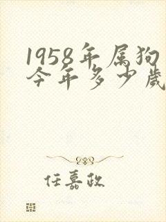 1958年属狗今年多少岁了