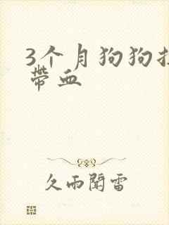 3个月狗狗拉稀带血