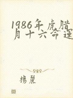 1986年虎腊月十六命运怎么样
