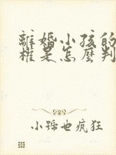 离婚小孩的抚养权是怎么判定的