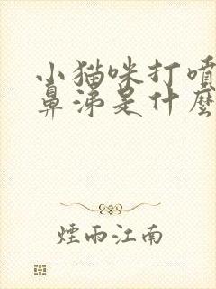 小猫咪打喷嚏流鼻涕是什么原因