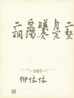 二泉映月二胡d调独奏完整版