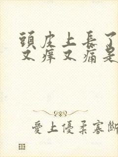 头皮上长了疙瘩又痒又痛是怎么回事