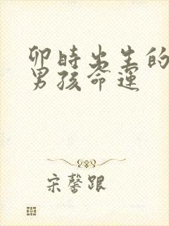 卯时出生的属龙男孩命运