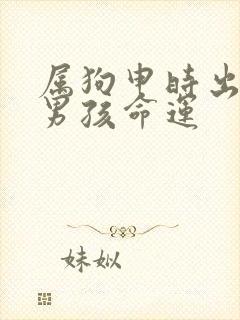 属狗申时出生的男孩命运封面