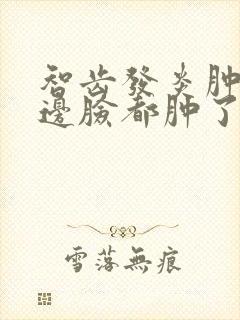 智齿发炎肿痛半边脸都肿了