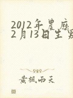 2012年农历2月13日生男宝命运封面