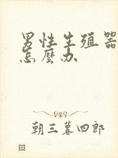 男性生殖器官弯怎么办