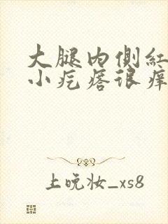 大腿内侧红色的小疙瘩很痒