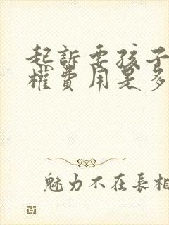 起诉要孩子抚养权费用是多少