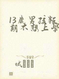 13岁男孩叛逆期不想上学怎么办