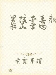 男孩子喜欢库洛米正常吗