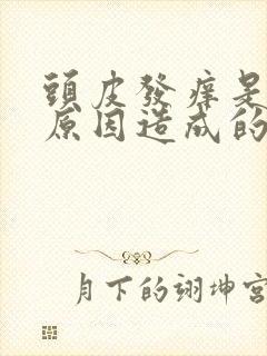 头皮发痒是什么原因造成的