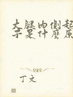 大腿内侧起红疹子是什么原因