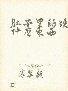 肚子里的硬块是什么东西封面