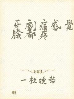 牙剧痛感觉半边脸都疼