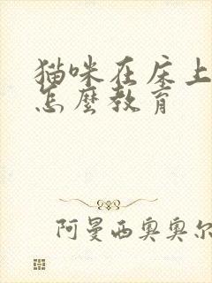 猫咪在床上拉尿怎么教育封面