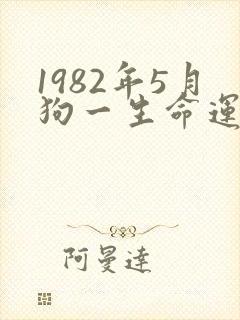 1982年5月狗一生命运