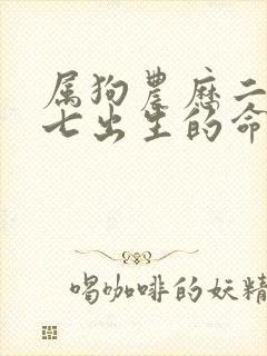 属狗农历二月十七出生的命运