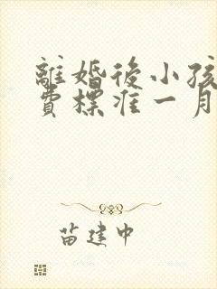 离婚后小孩抚养费标准一月多少钱