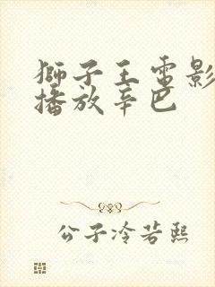 狮子王电影免费播放辛巴