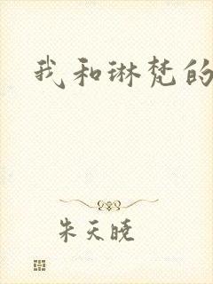 我和琳梵的故事