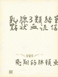 乳腺3类结节有点状血流信号