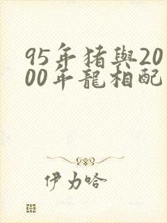 95年猪与2000年龙相配的婚姻如何封面