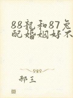 88龙和87兔配婚姻好不好