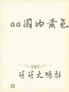 aa国内黄色片