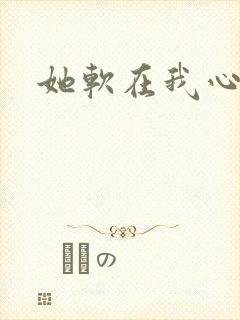 她软在我心上封面