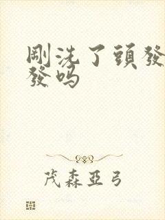 刚洗了头发能染发吗封面