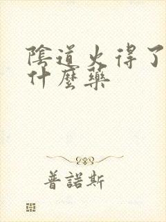 阴道火得了的用什么药