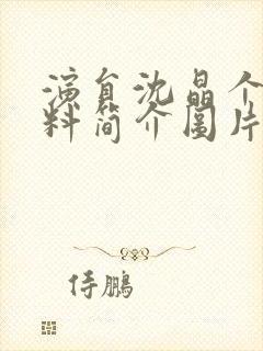 演员沈晶个人资料简介图片