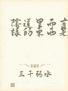 阴道里面有皮一样的东西是什么