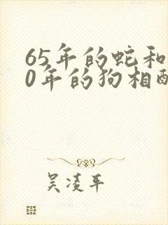 65年的蛇和70年的狗相配吗?