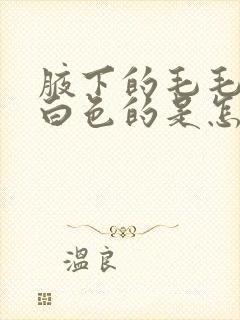 腋下的毛毛上有白色的是怎么回事