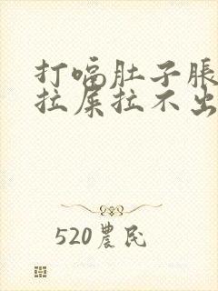 打嗝肚子胀气想拉屎拉不出