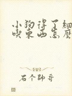 小狗得了细小不吃东西怎么办